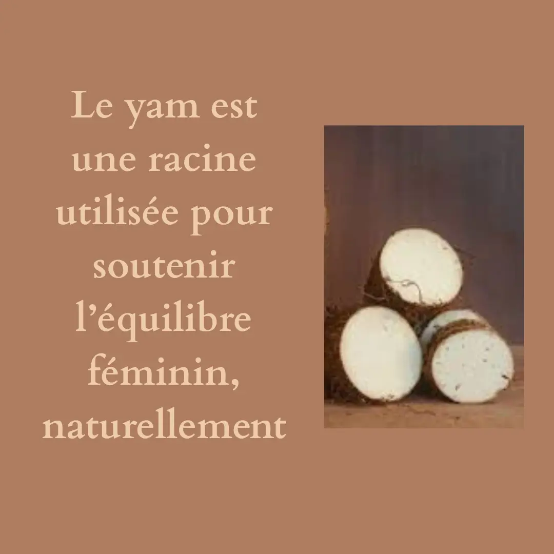 Yam dans sa version naturelle découpe en tranche.